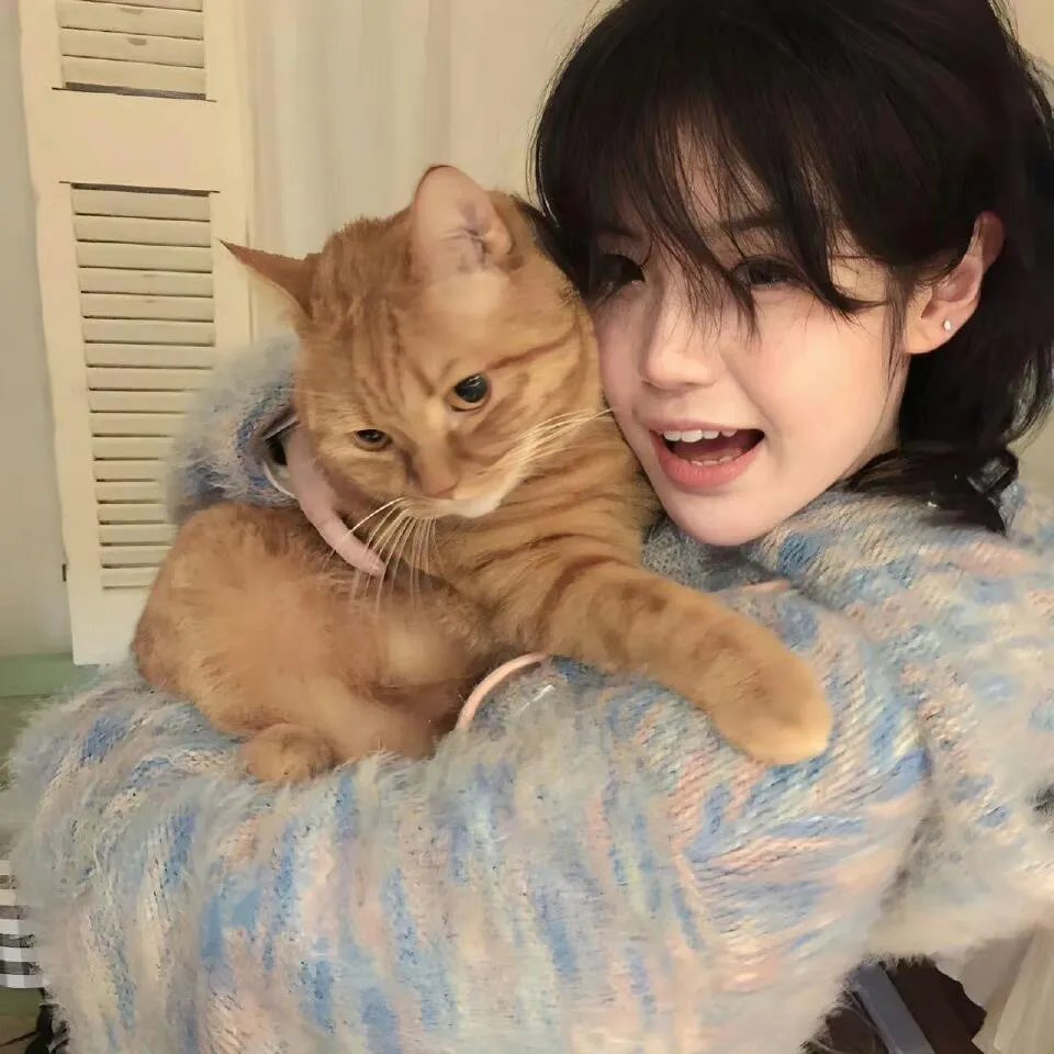 我把忠诚献给你